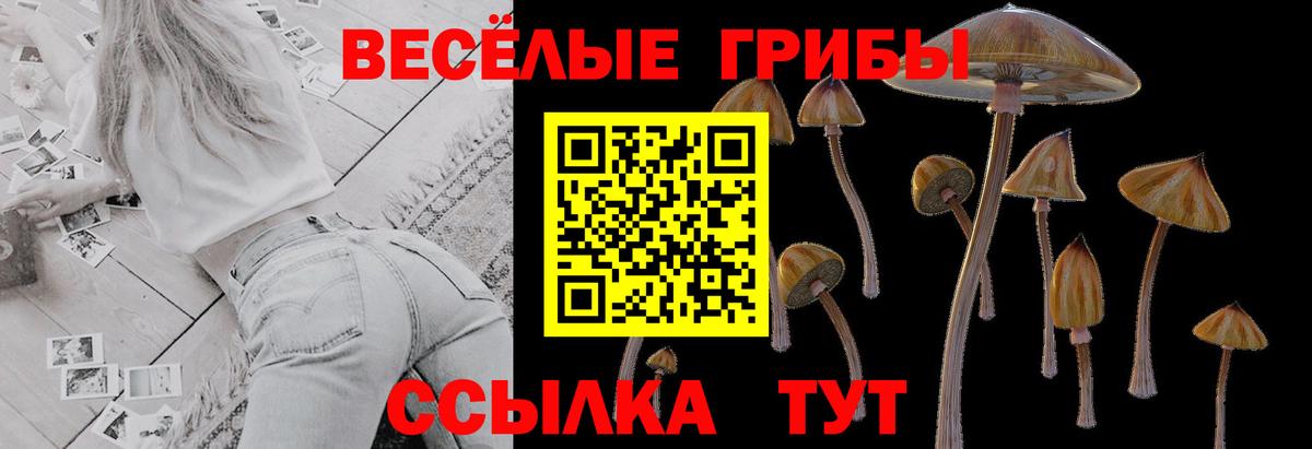 Бошки Шишки  Кировск  Метамфетамин  КОКАИН  A-PVP СК   Гашиш  Меф МЯУ МЯУ кристаллы  Вход с VPN 